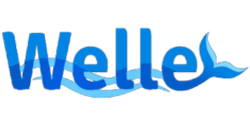 Welle